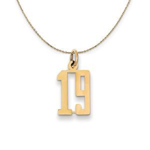 14k Yellow Gold, Alumni Small Elongated Number 19 Necklace - 18 Inch